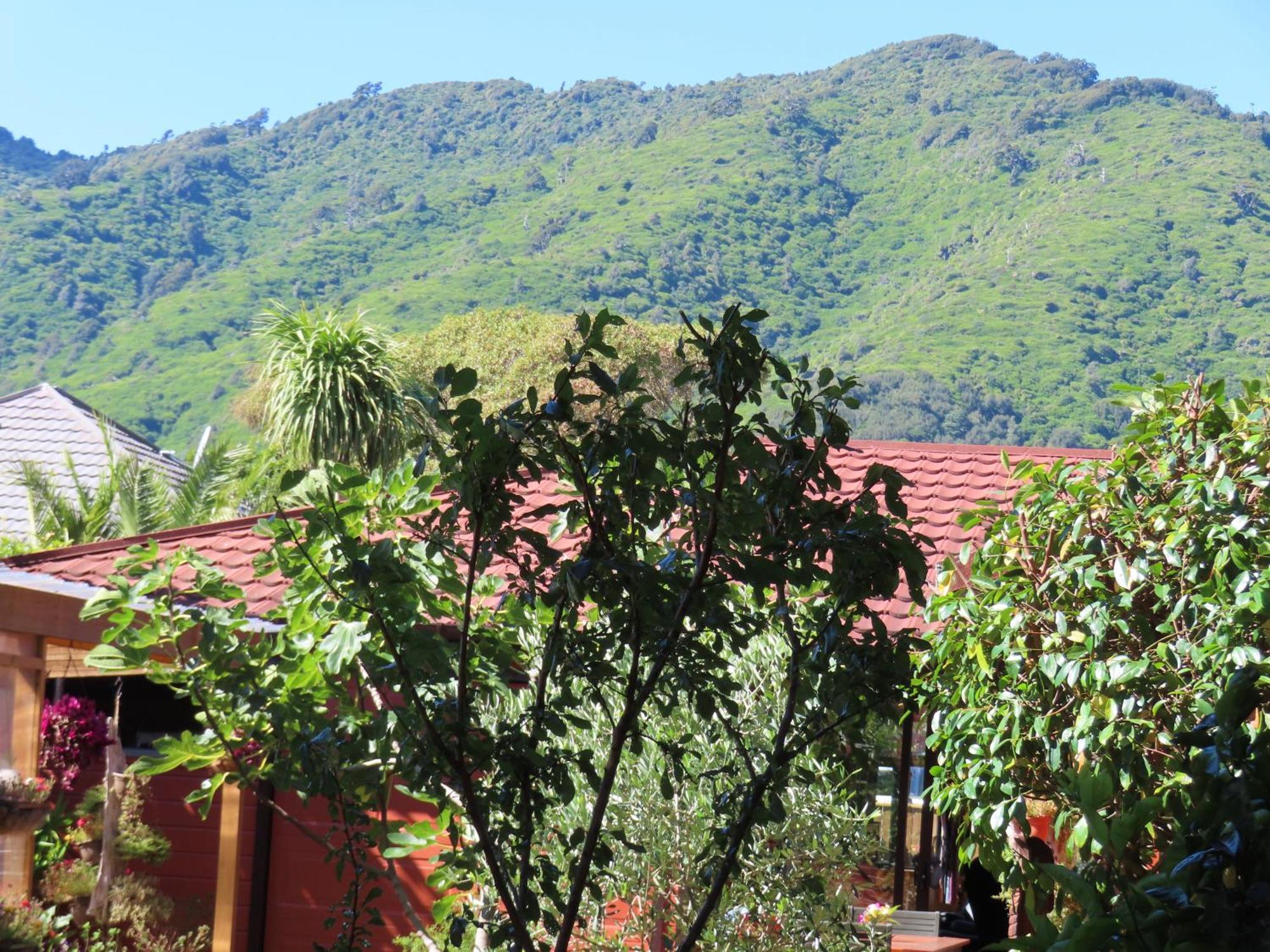 Hide Away In Waikanae Bagian luar foto
